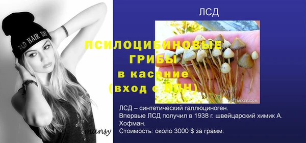 герыч Абаза