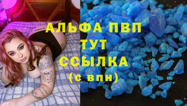 стаф Алексин