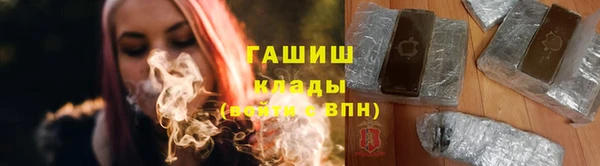 стаф Алексин
