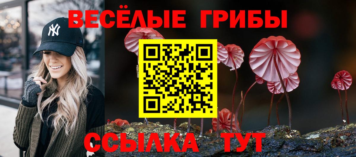 Псилоцибиновые грибы мицелий  Вход с VPN  где купить наркоту  Советская Гавань 